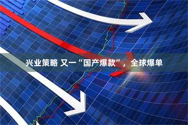 兴业策略 又一“国产爆款”，全球爆单