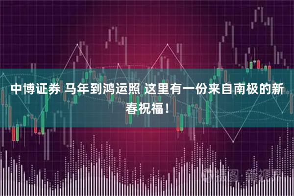 中博证券 马年到鸿运照 这里有一份来自南极的新春祝福！