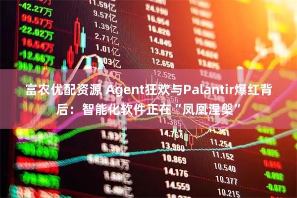 富农优配资源 Agent狂欢与Palantir爆红背后：智能化软件正在“凤凰涅槃”