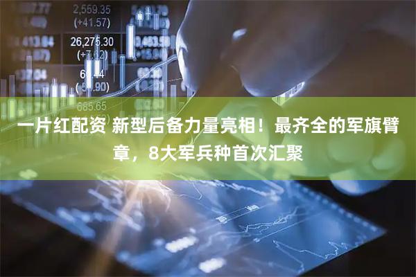 一片红配资 新型后备力量亮相！最齐全的军旗臂章，8大军兵种首次汇聚